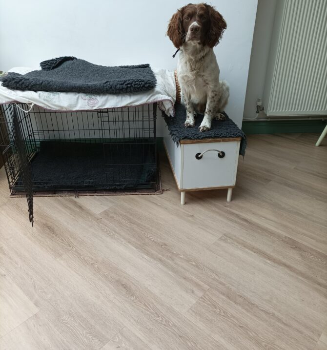 Amtico Spacia - Muted Oak -Large Plank